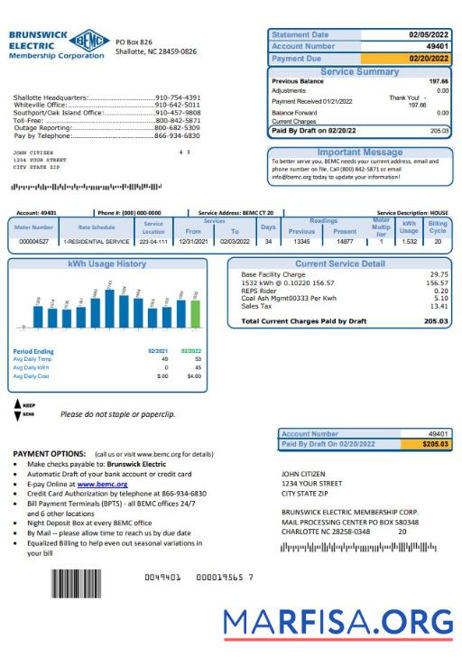 Downloadable USA North Carolina Brunswick Electric utility bill template in Word and PDF format